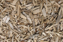 biomass boilers Burroughston